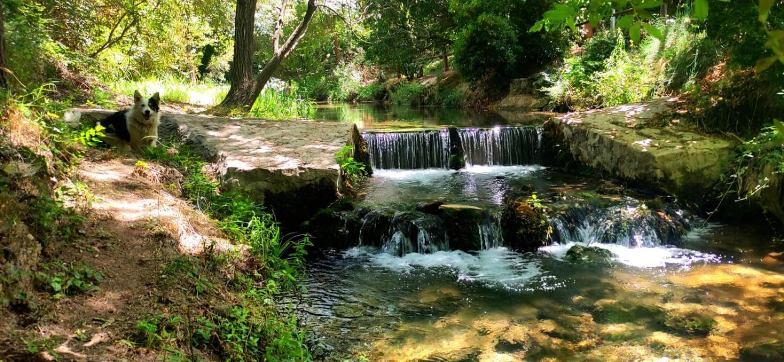 Complejo Ribera De Salobre Otel Dış mekan fotoğraf